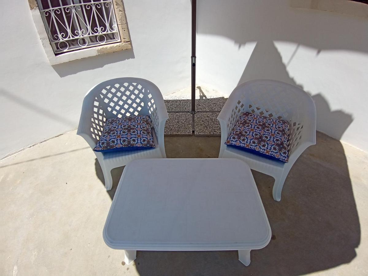 Hibiscus Siracusa سيراكوزا المظهر الخارجي الصورة