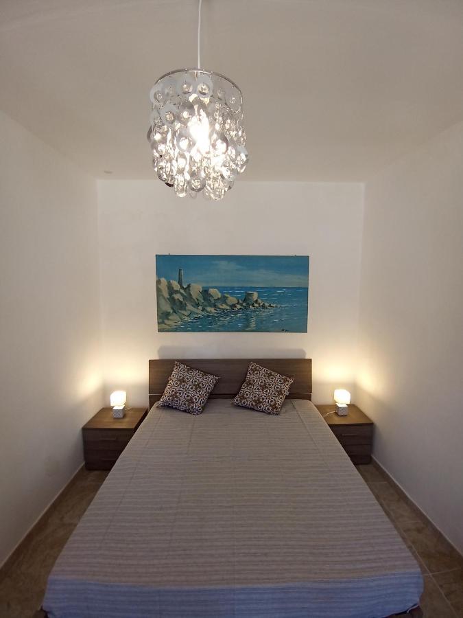 Hibiscus Siracusa سيراكوزا المظهر الخارجي الصورة