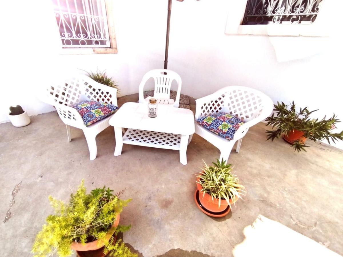 Hibiscus Siracusa سيراكوزا المظهر الخارجي الصورة