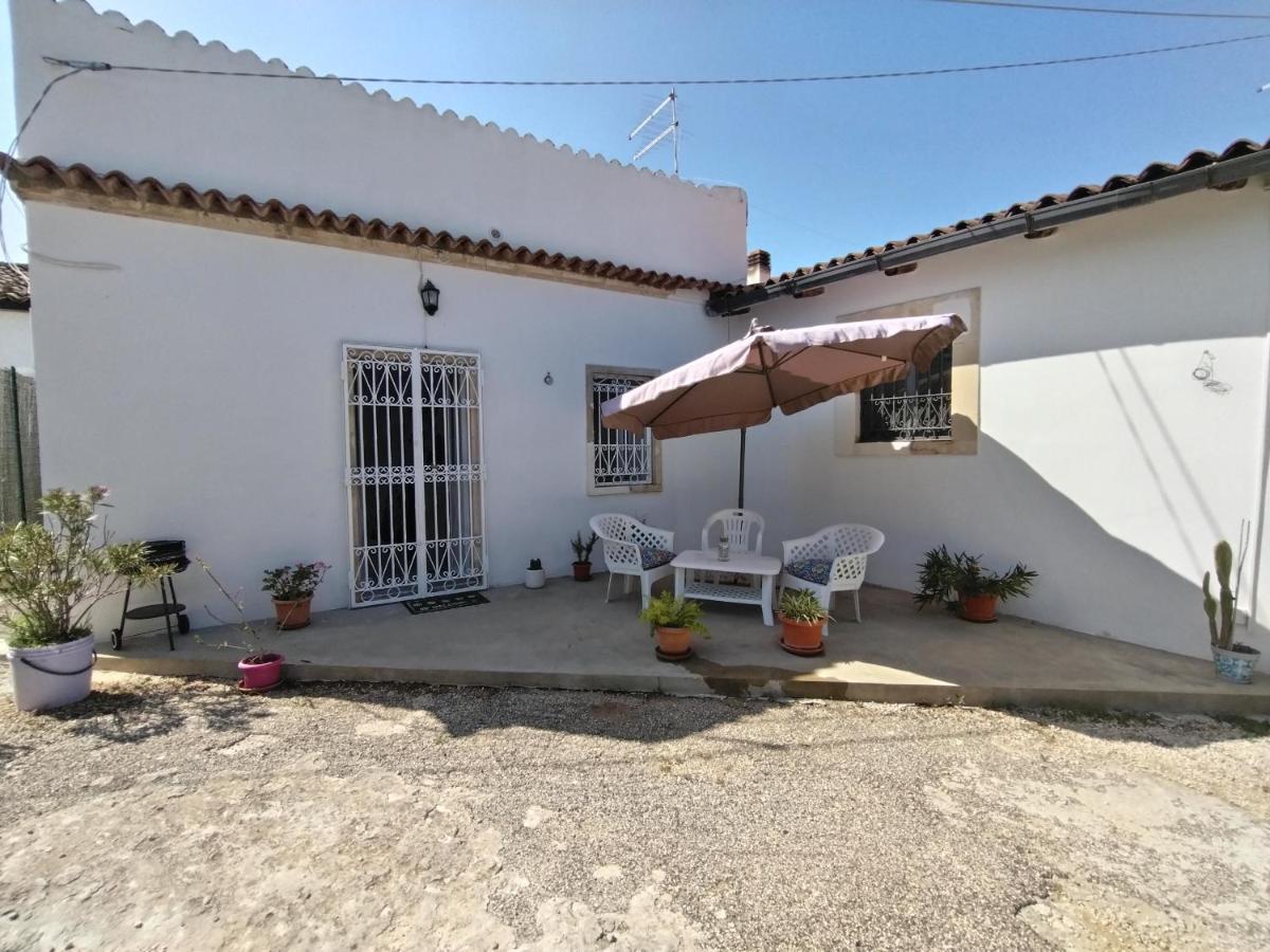 Hibiscus Siracusa سيراكوزا المظهر الخارجي الصورة